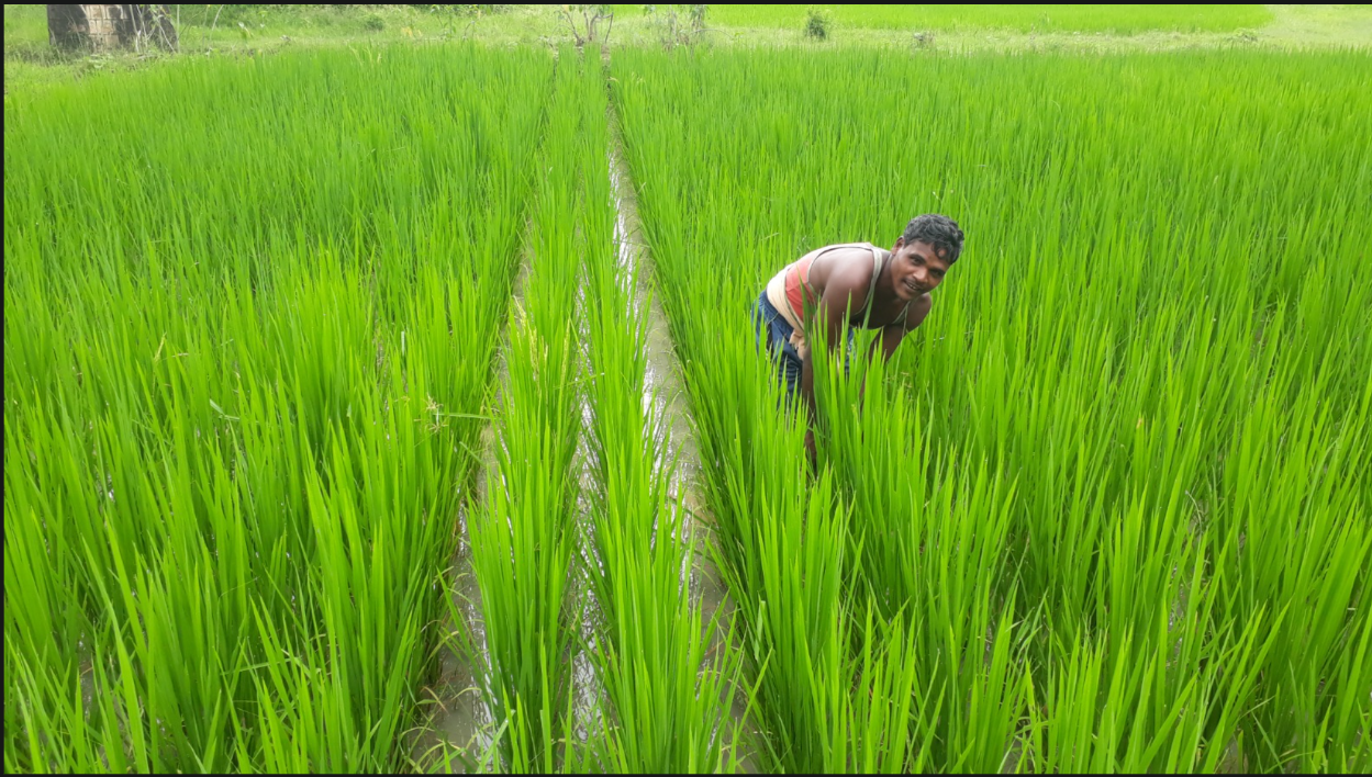 Empowering rural women